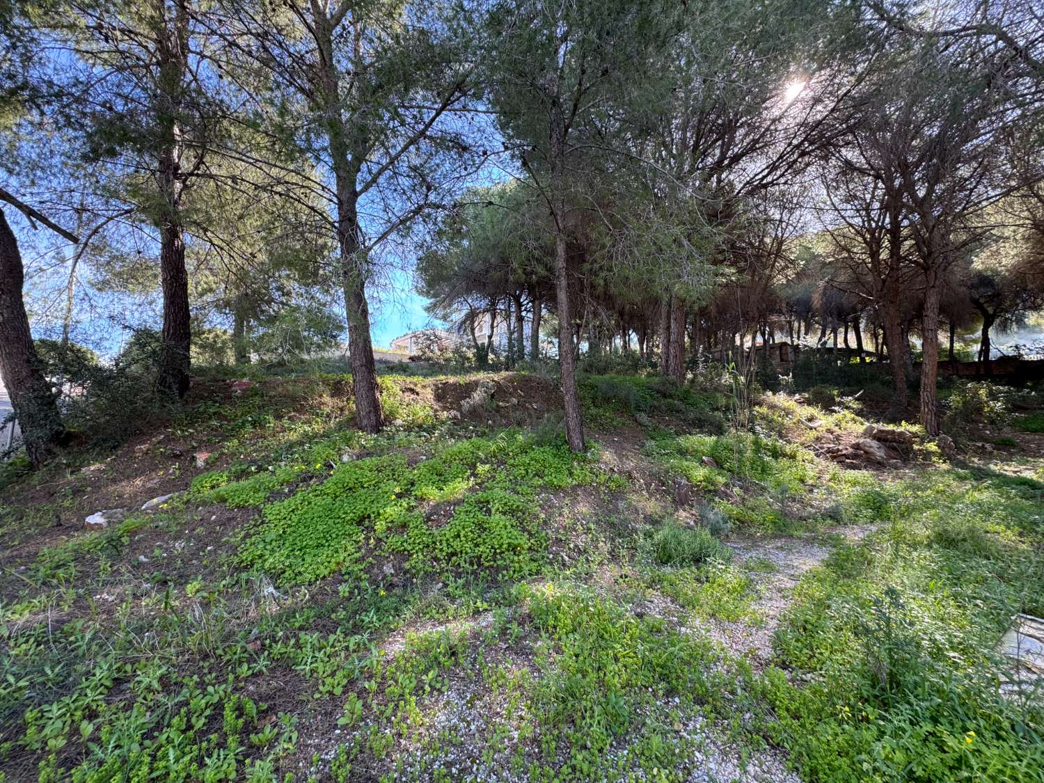 Percelen te koop in Alhaurín de la Torre