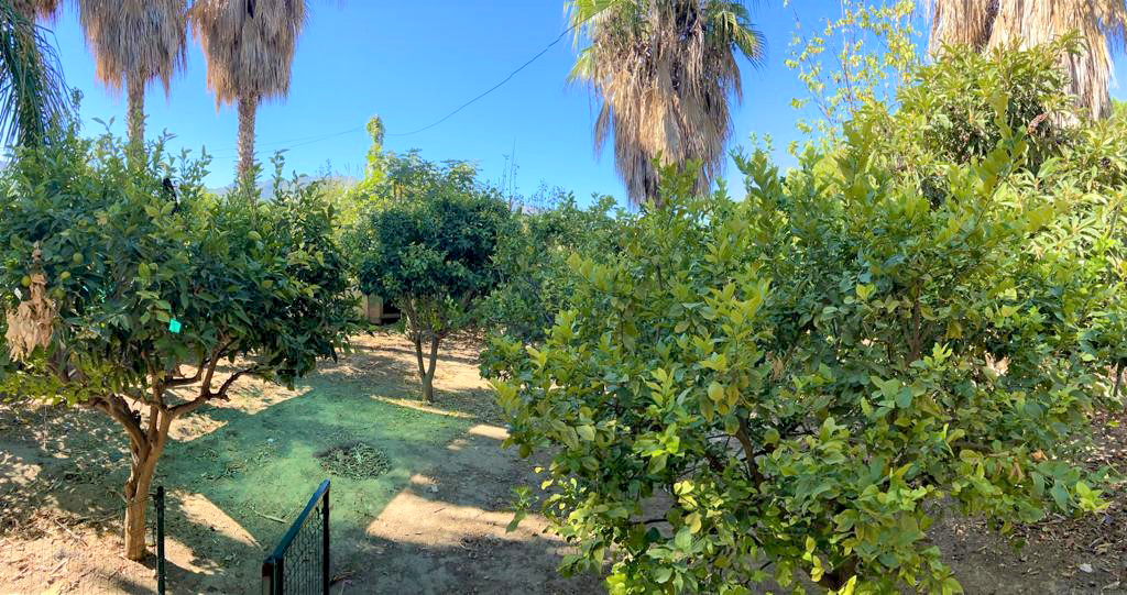 Villa en una sola planta con 3 dormitorios más apartamento de invitados. Mantenimiento del jardín y piscina incluido en el precio