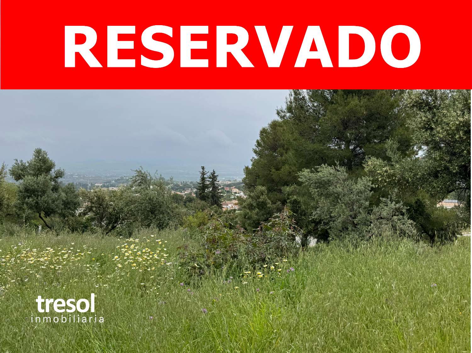 Parcela de esquina de 1.000m2, en zona baja de Pinos de Alhaurin excelentemente ubicada y con vistas.