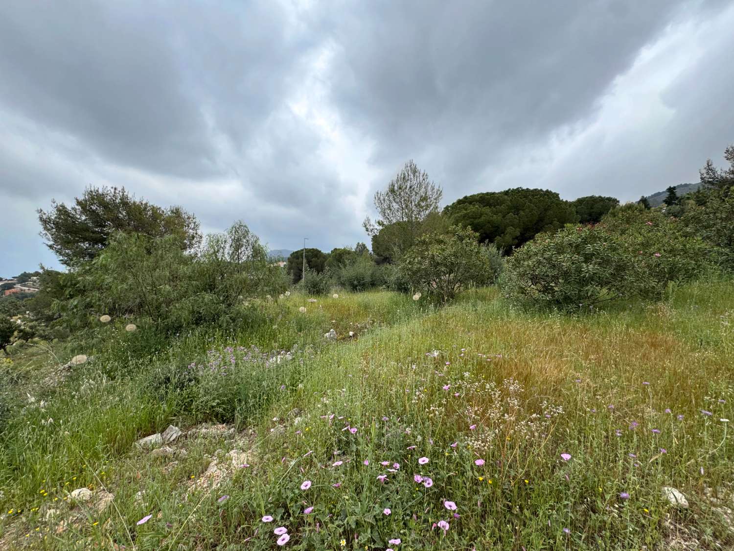 Parcela de esquina de 1.000m2, en zona baja de Pinos de Alhaurin excelentemente ubicada y con vistas.