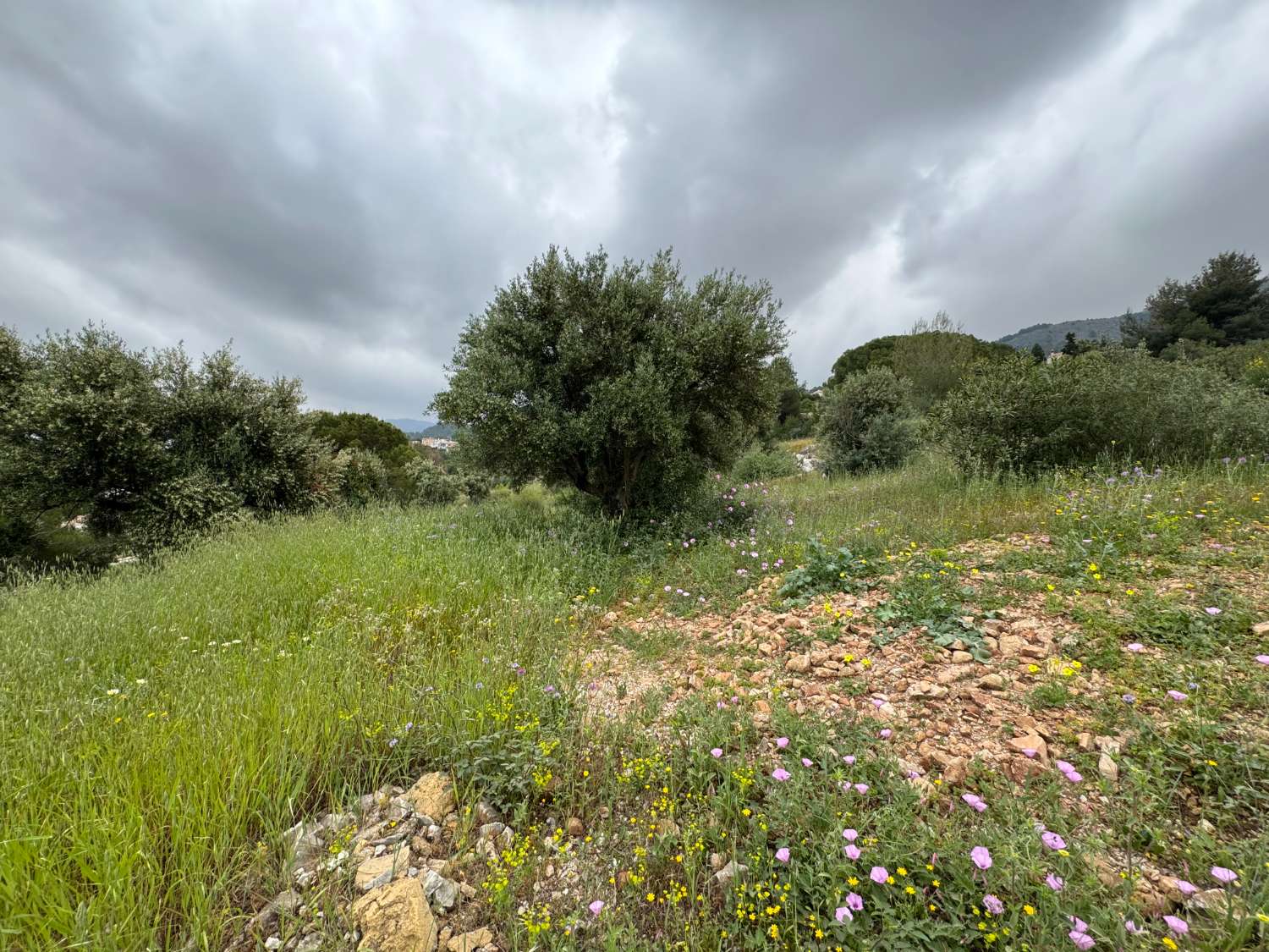 Parcela de esquina de 1.000m2, en zona baja de Pinos de Alhaurin excelentemente ubicada y con vistas.
