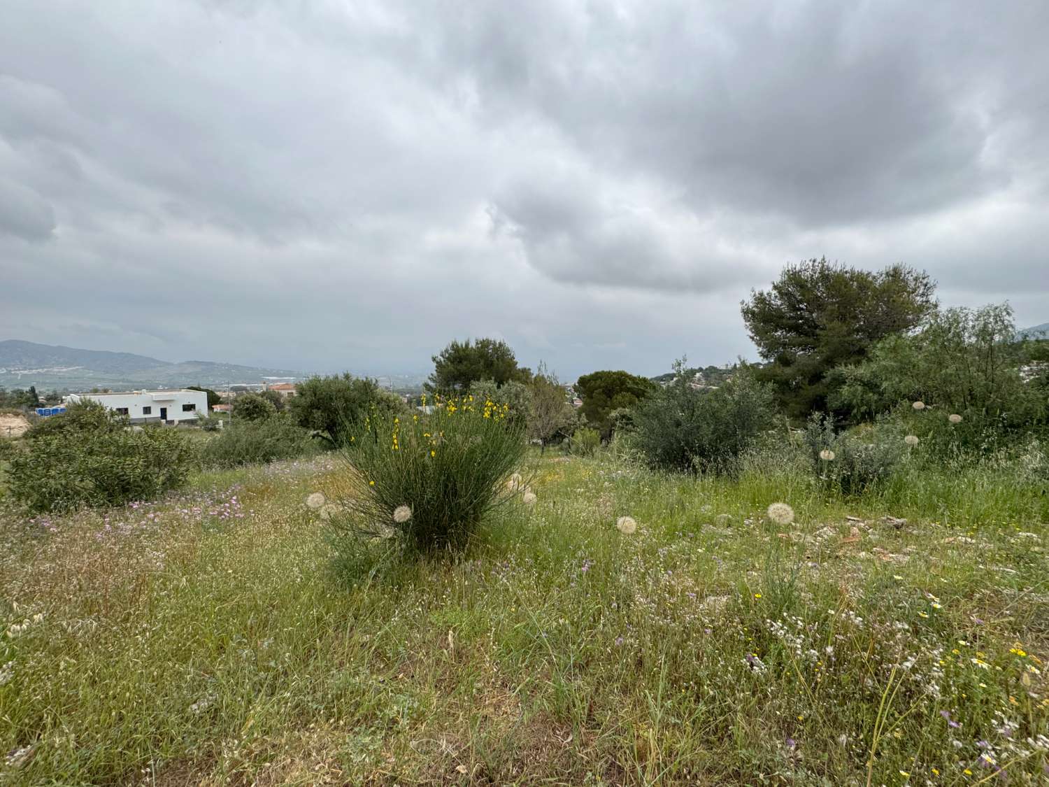 Parcela de esquina de 1.000m2, en zona baja de Pinos de Alhaurin excelentemente ubicada y con vistas.