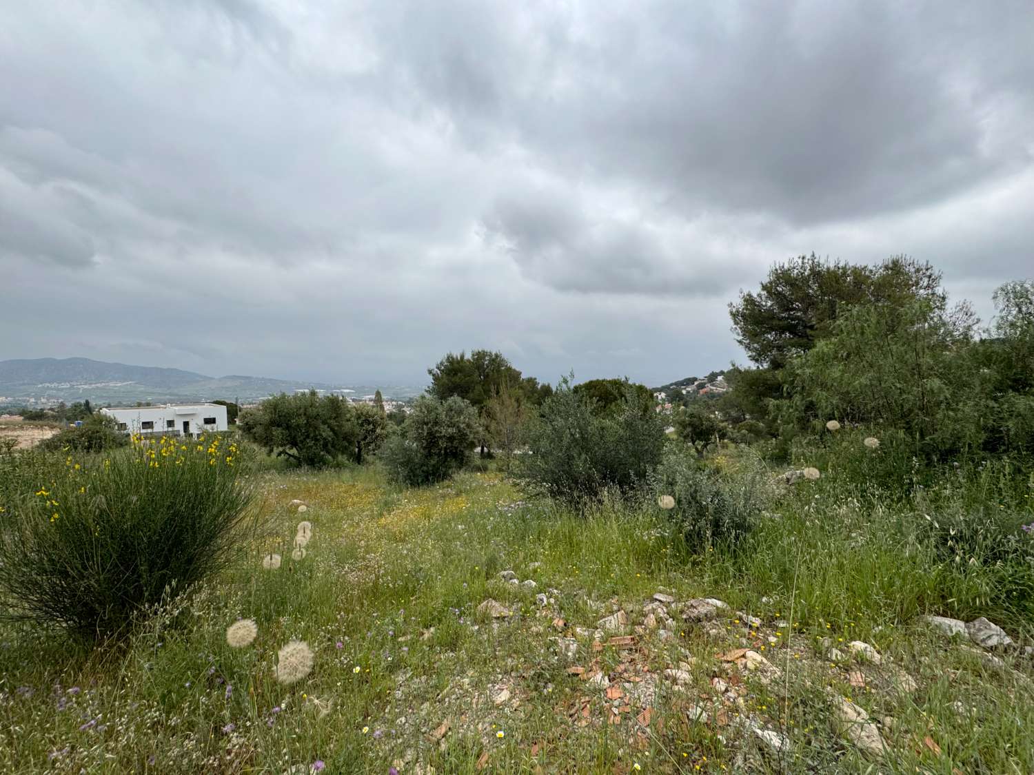 Parcela de esquina de 1.000m2, en zona baja de Pinos de Alhaurin excelentemente ubicada y con vistas.