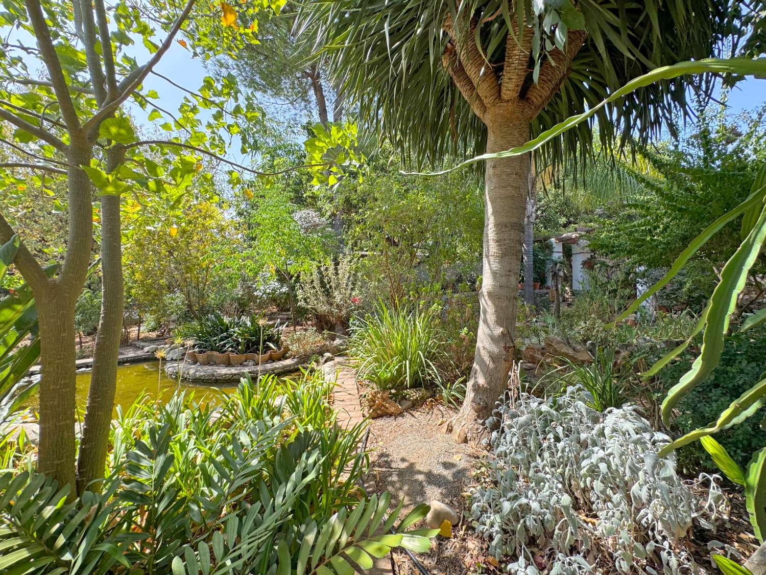 Maravillosa Villa mediterránea enclavada en un auténtico oasis de tranquilidad, privacidad y naturaleza.