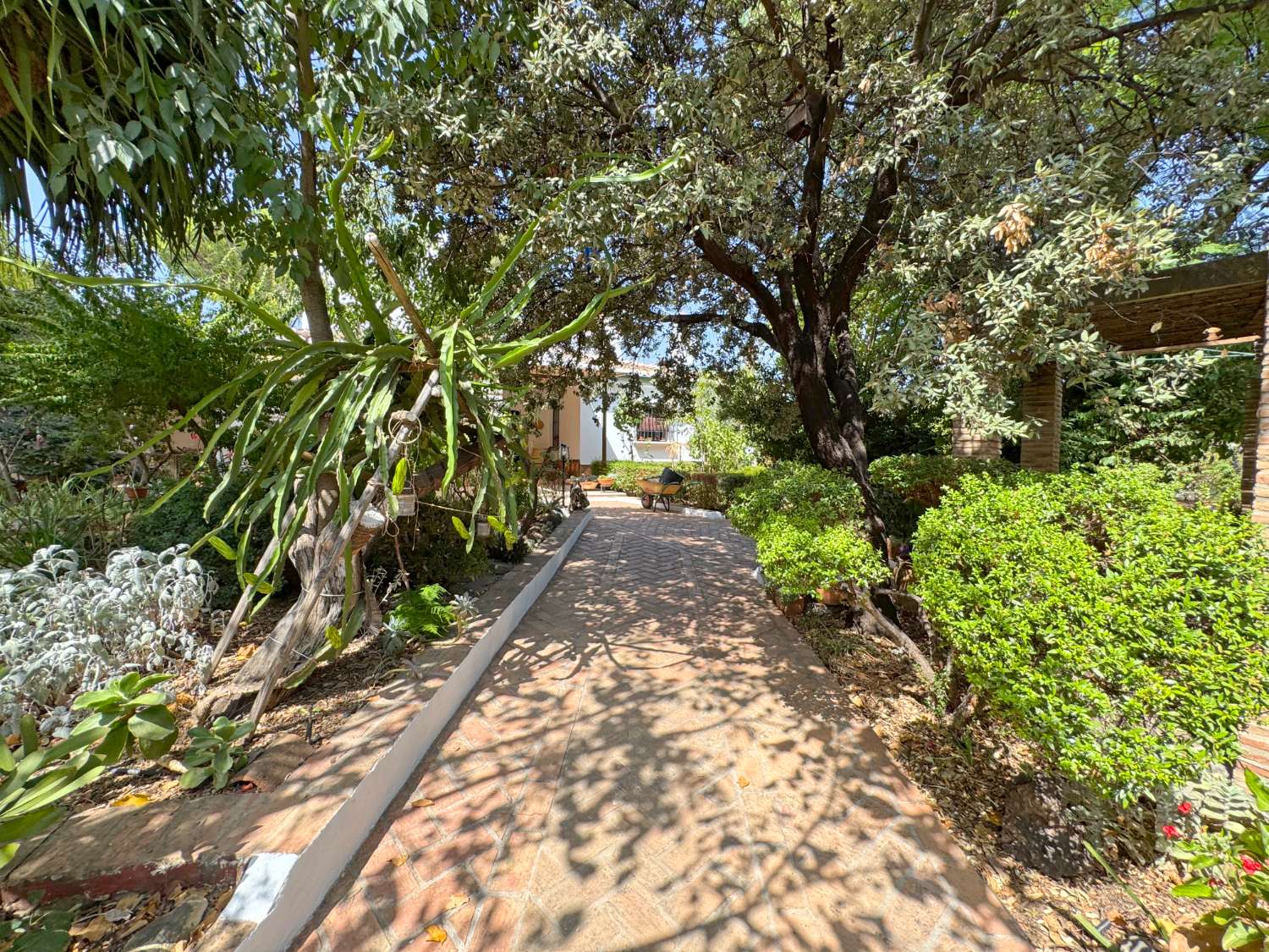 Maravillosa Villa mediterránea enclavada en un auténtico oasis de tranquilidad, privacidad y naturaleza.