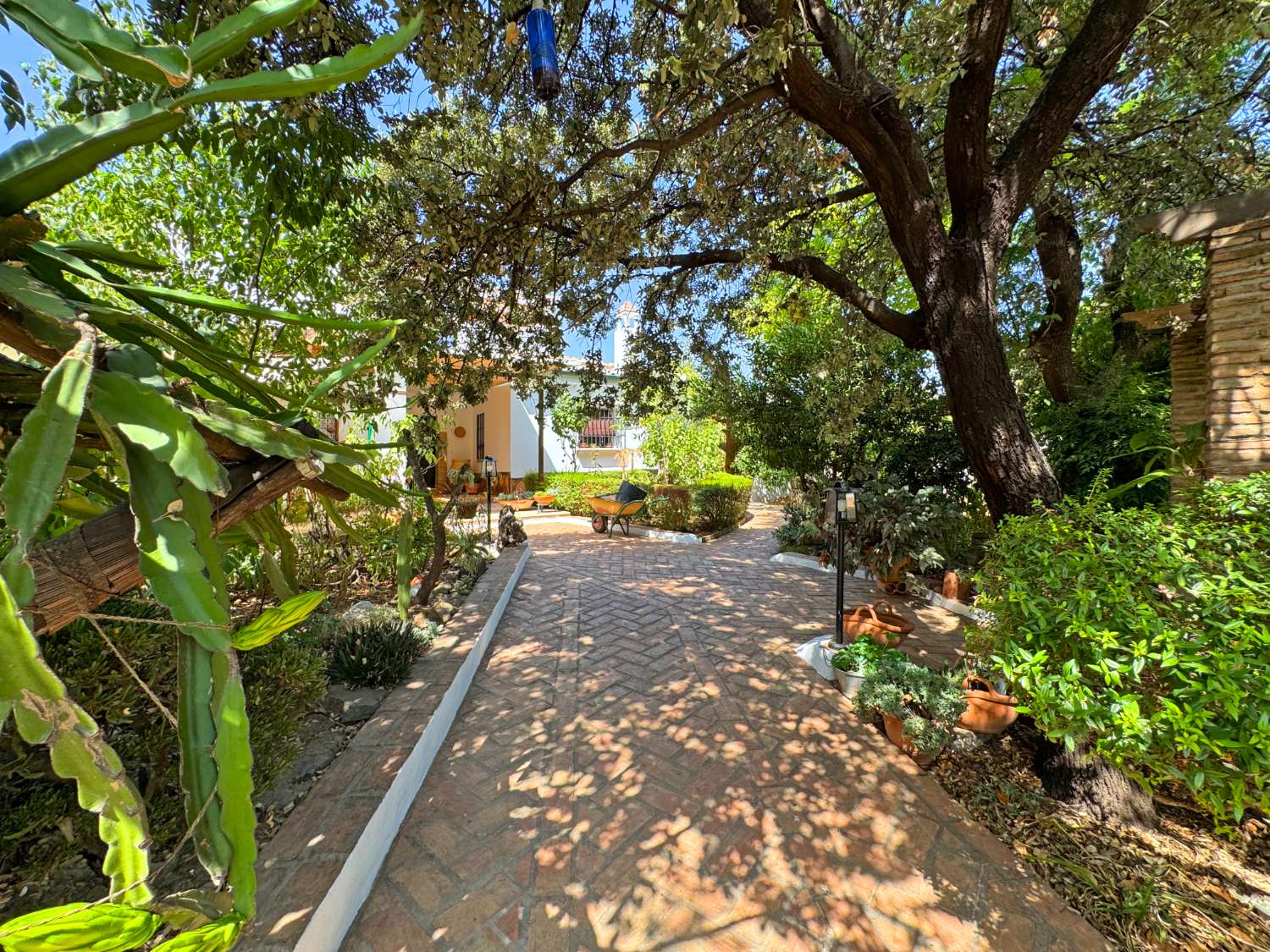 Maravillosa Villa mediterránea enclavada en un auténtico oasis de tranquilidad, privacidad y naturaleza.