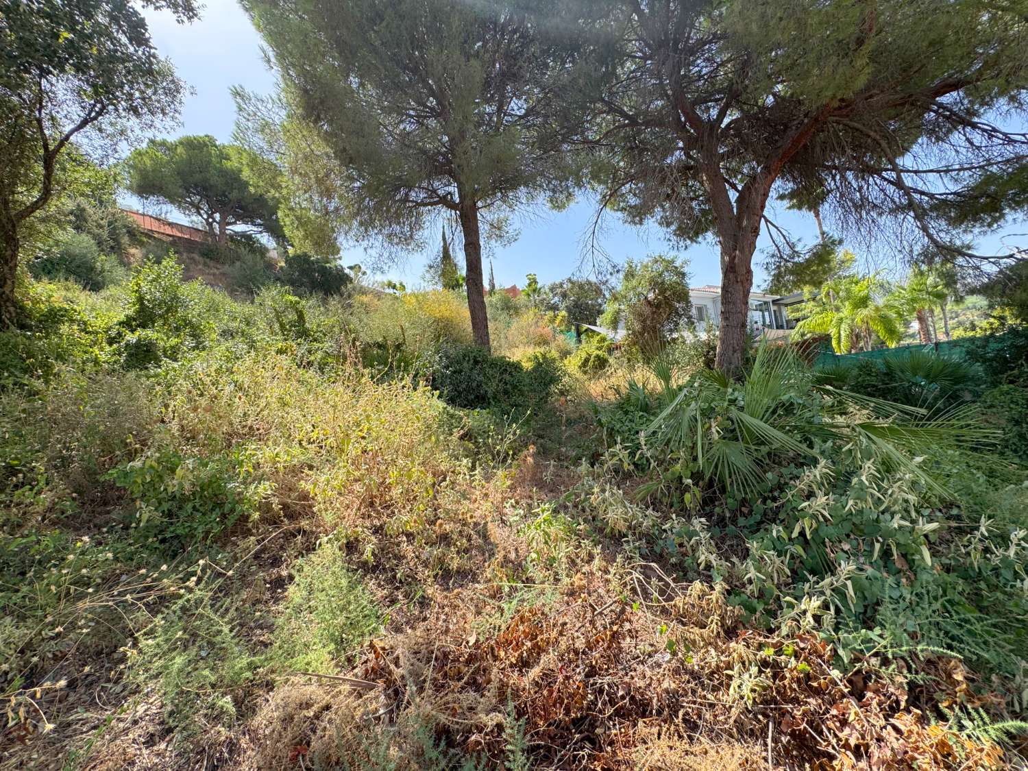 PARCELA URBANA EN VENTA – PINOS DE ALHAURÍN