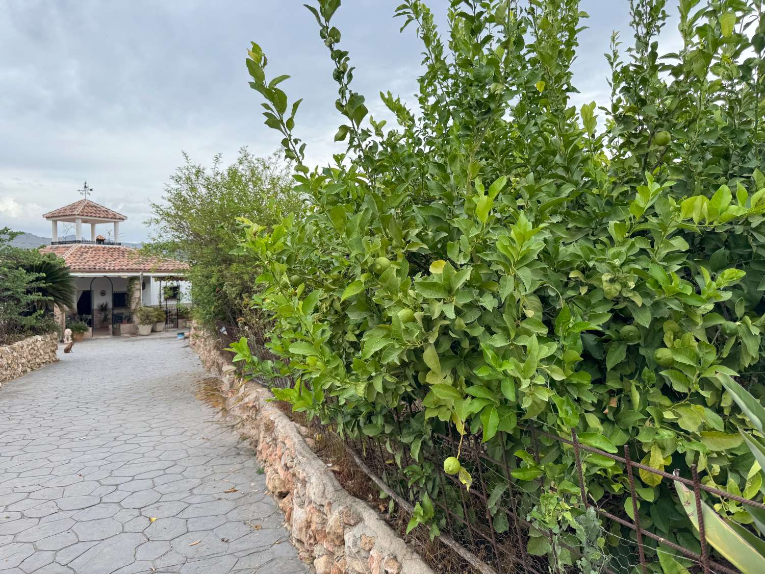 Casa de campo independiente escritura y con pozo propio legalizado
