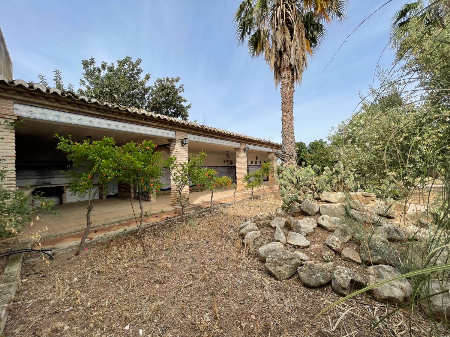 Domain en vente à Antequera