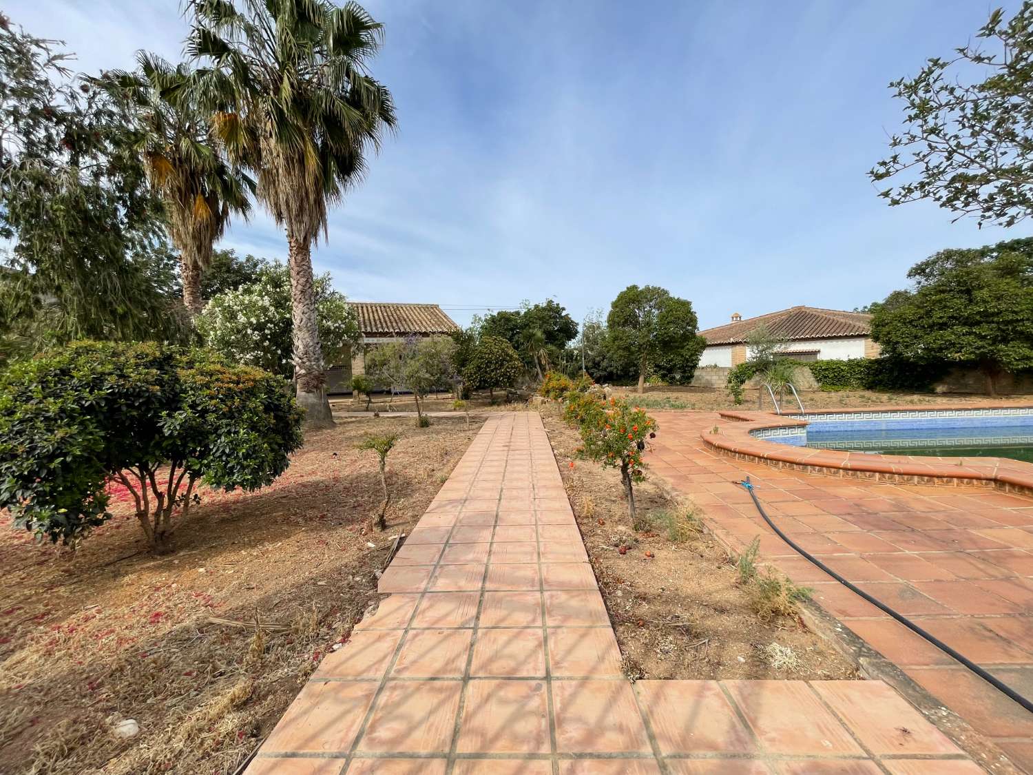 Domain en vente à Antequera