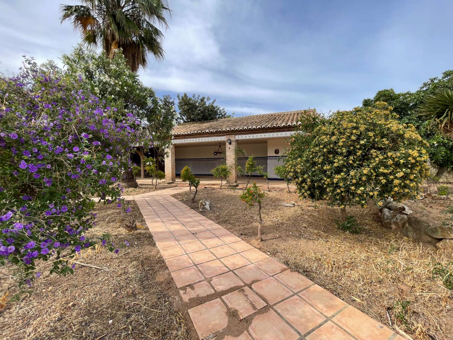 Domain en vente à Antequera