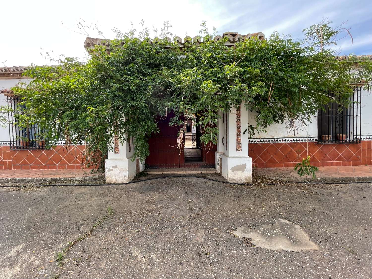 Domain en vente à Antequera