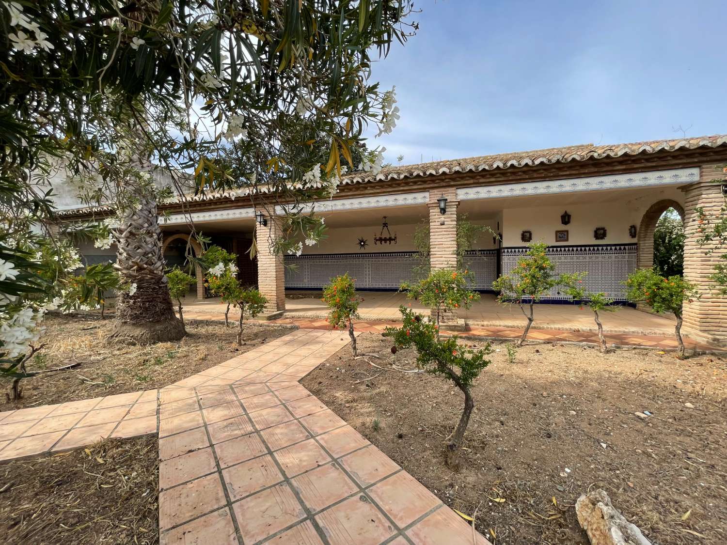 Domain en vente à Antequera