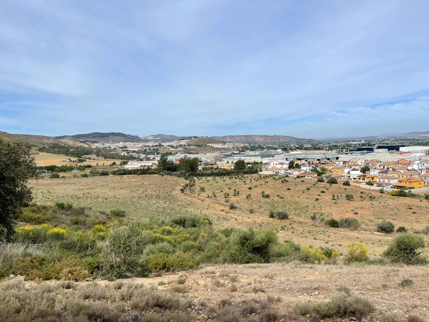 участок земли в продаже в Antequera