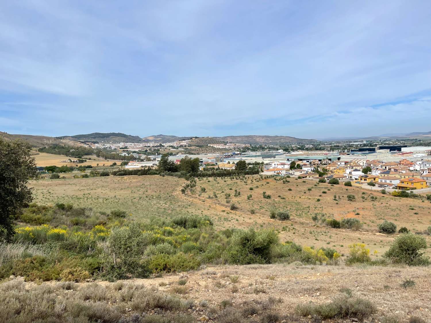 Domain en vente à Antequera