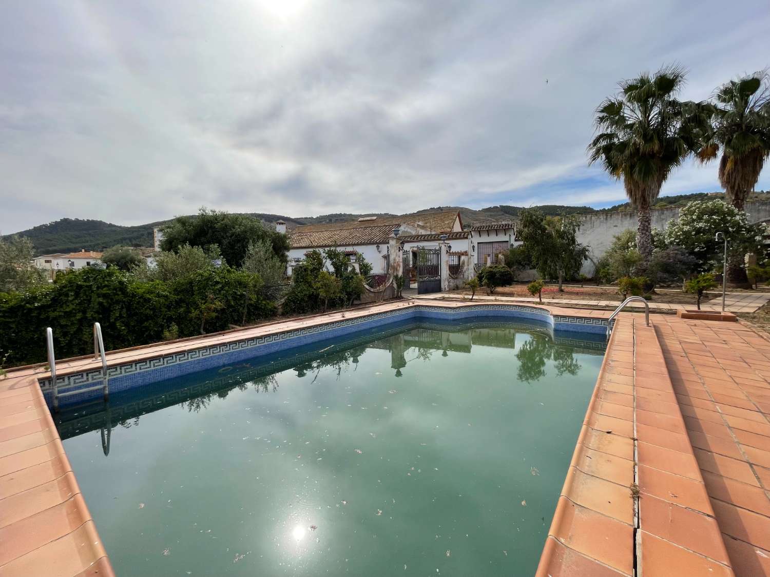 Domain en vente à Antequera