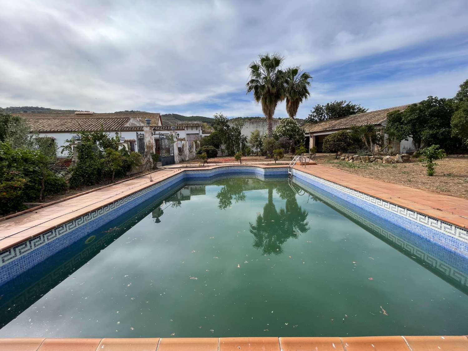 Domain en vente à Antequera