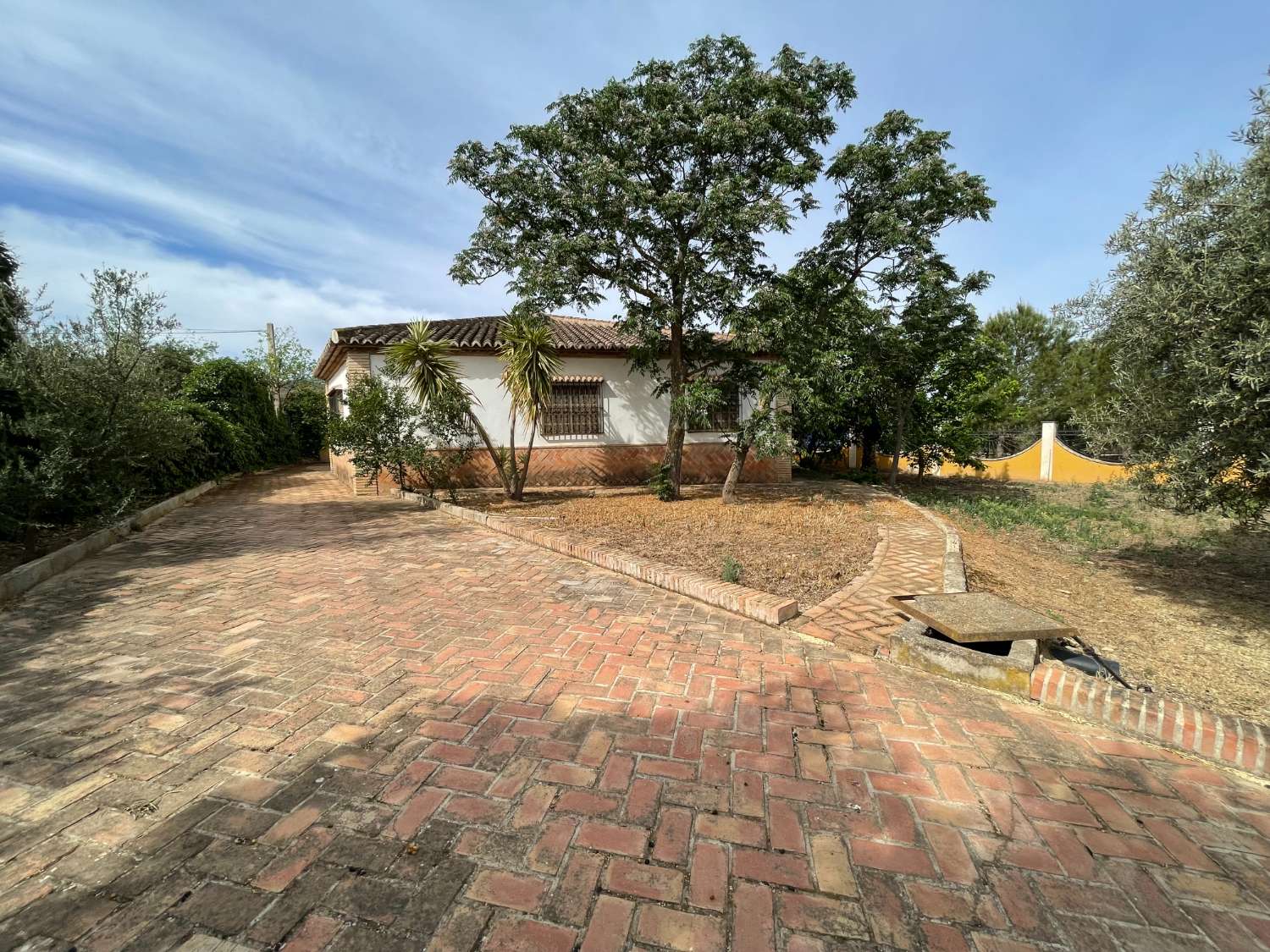 Domain en vente à Antequera