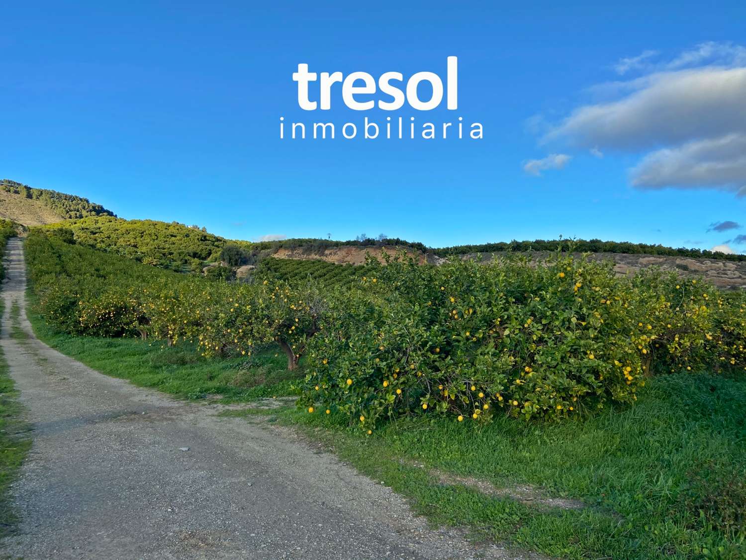 участок земли в продаже в Alhaurín de la Torre