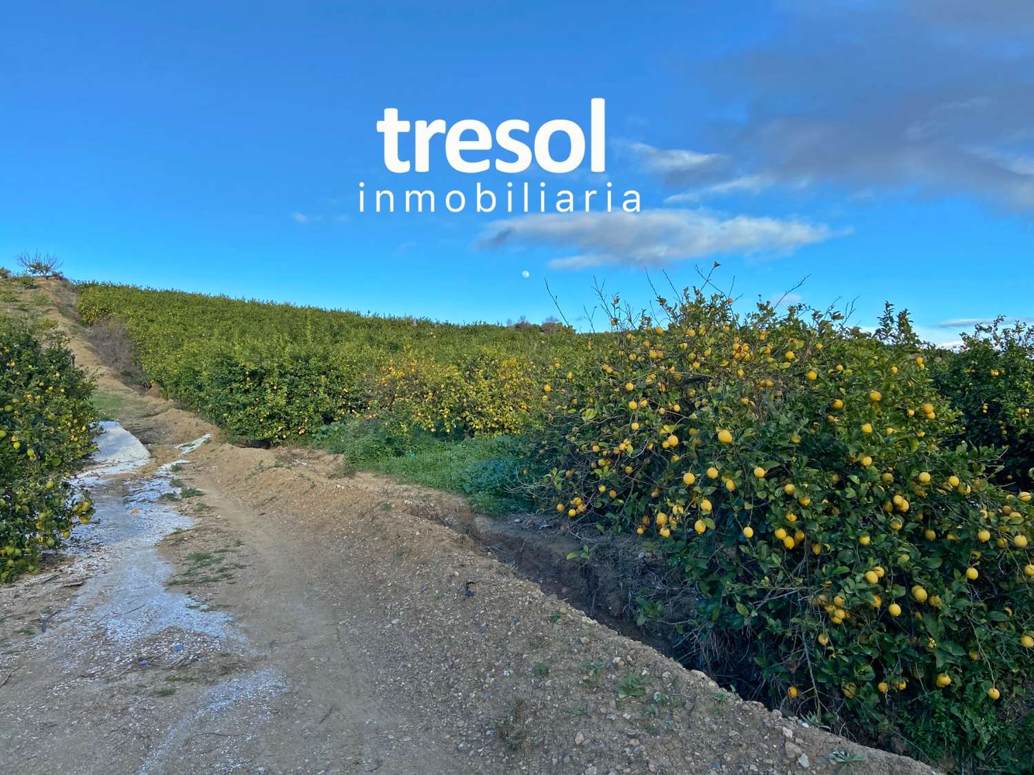 участок земли в продаже в Alhaurín de la Torre