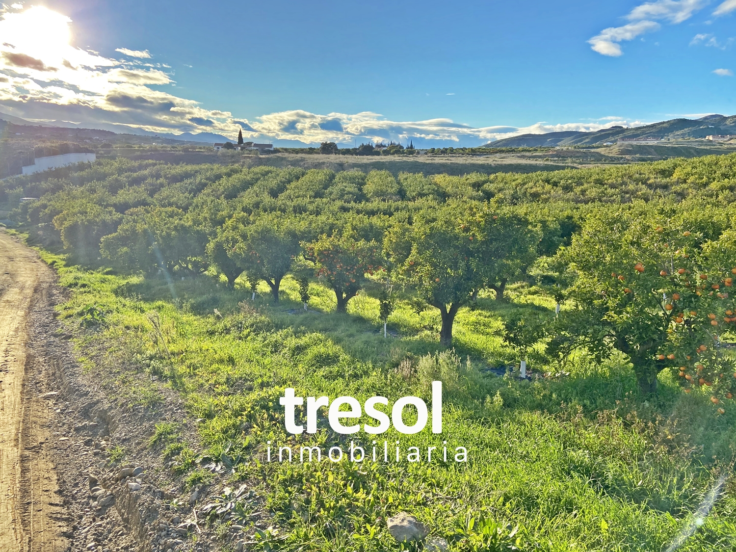 участок земли в продаже в Alhaurín de la Torre